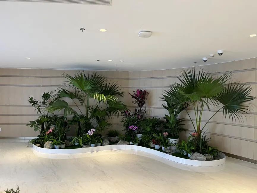 解锁宁波慈溪花卉租赁方案，点亮花卉之约><div class=